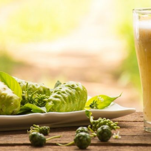 Jus de Noni de qualité supérieure, Vietnam - Product Image 4