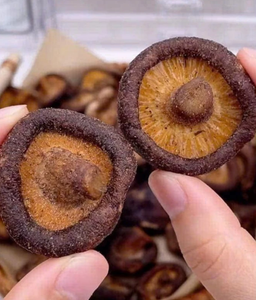 Vente en gros de champignons shiitake séchés au Vietnam, ingrédient déshydraté naturel pour les usines alimentaires, les restaurants et les mélanges d'épices - Product Image 4
