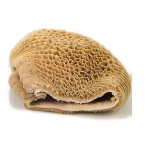 High Quality Organic Frozen Salted <b>Beef</b> Omasum Body for Bulk Sale From Verified Suppliers - Product Image 6