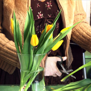 Forbici Multifunzione BeproHome Katana in Acciaio Inossidabile di Alta Qualità, 18cm, per Preparazione Alimenti, Facili da Usare e Pulire - Product Image 3