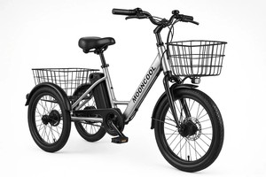 Triciclo Eléctrico Plegable para Adultos - 500W/750W 48V 20" Triciclo Plegable de Tres Ruedas con Marco de Aluminio, Batería Extraíble y - Product Image 3