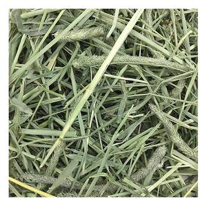 Heno de alfalfa de calidad | Heno de Timothy y Bermuda a la venta - Product Image 5