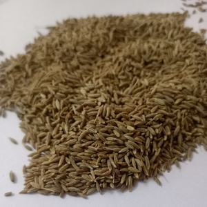 Semillas de Comino Naturales Indias de Alta Calidad de Singapur, 99% de Pureza, Marca RGPL, 12 Meses de Vida Útil, para Cocinar, de Exportadores - Product Image 4