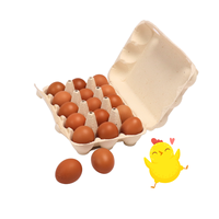 12 Oeufs de Poulet Carton Papier Dimensions Boîte Fabriquée par Pâte à Papier Biodégradable Prix Bon Marché Plateau à Oeufs Fabriqué au Viet Nam Fabricant