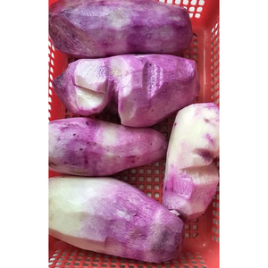 Ñame púrpura congelado de alta calidad y ñame blanco GRADO DE EXPORTACIÓN DE Vietnam corte limpio embalado para pedidos minoristas B2B y OEM - Product Image 6