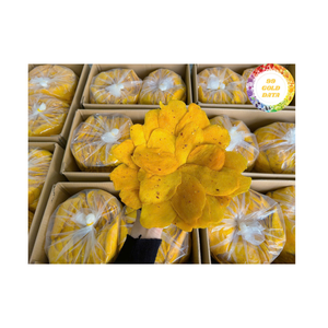 Mango seco Madurado al sol Material de mango de Vietnam para batidos Confitería Panadería y exportación internacional Suministro de alimentos - Product Image 4