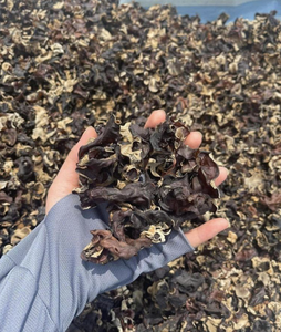 Champignons noirs séchés du Vietnam Parfaits pour les soupes, les ragoûts, les sautés Ingrédient de cuisine sain - Product Image 2