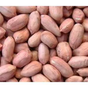 ถั่วลิสงเนื้อหนาที่อุดมไปด้วยกรุบกรอบรสชาติบ๊องที่เข้มข้นรสชาติแบบธรรมชาติดิบคุณภาพระดับพรีเมียมขนมขบเคี้ยวเพื่อสุขภาพการทำอาหาร - Product Image 4