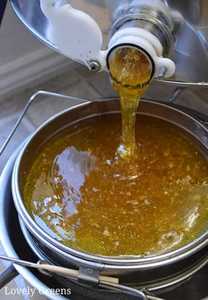 Extracto Herbal Orgánico Crudo Sin Procesar de Grado Alimenticio, Miel Líquida Silvestre, Proveedor de Exportación a Granel - Product Image 2