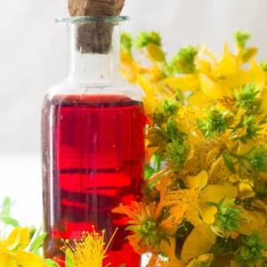 100% Pure St John's Wort Carrier Oil Olor natural y fresco Venta al por mayor Aceite a base de semillas 100% Pure Essential Oil Wholesale Carrier - Product Image 1