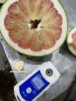 Premium verse groene pomelo met roze vruchtvlees |   100% natuurlijk zoet, hoogwaardig pomelo fruit |   Klasse 1,6 kg VS EU AU Midden-Oosten