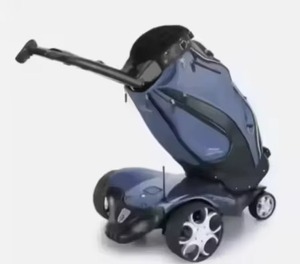 EasyGo Autheentic ElectricGolf ScooterStand Up RemoteControl DIYPersonalizable TrolleyPush Cart - Product Image 1