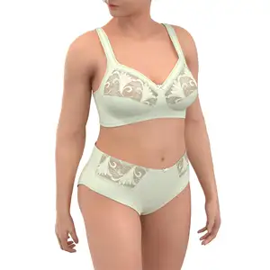Sexy Lace Ladies Plus-Size Transparent Breathable Wholesale Women Set Corset  Bra Underwear - China Lingerie and Bra price