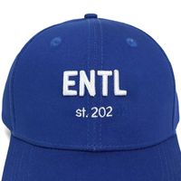 Gorra Deportiva Unisex de 6 Paneles, Ligera, de Secado Rápido, Transpirable/Impermeable, con Diseño de Leopardo, Logotipo Bordado en 3D Personalizado, Estilo Golf Dad Hat