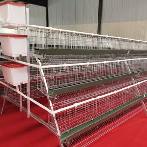 กรงแบตเตอรี่ไก่ไข่แบบใหม่พร้อมบ้านไก่สำหรับแอฟริกาผู้จำหน่ายโรงงาน - Product Image 3