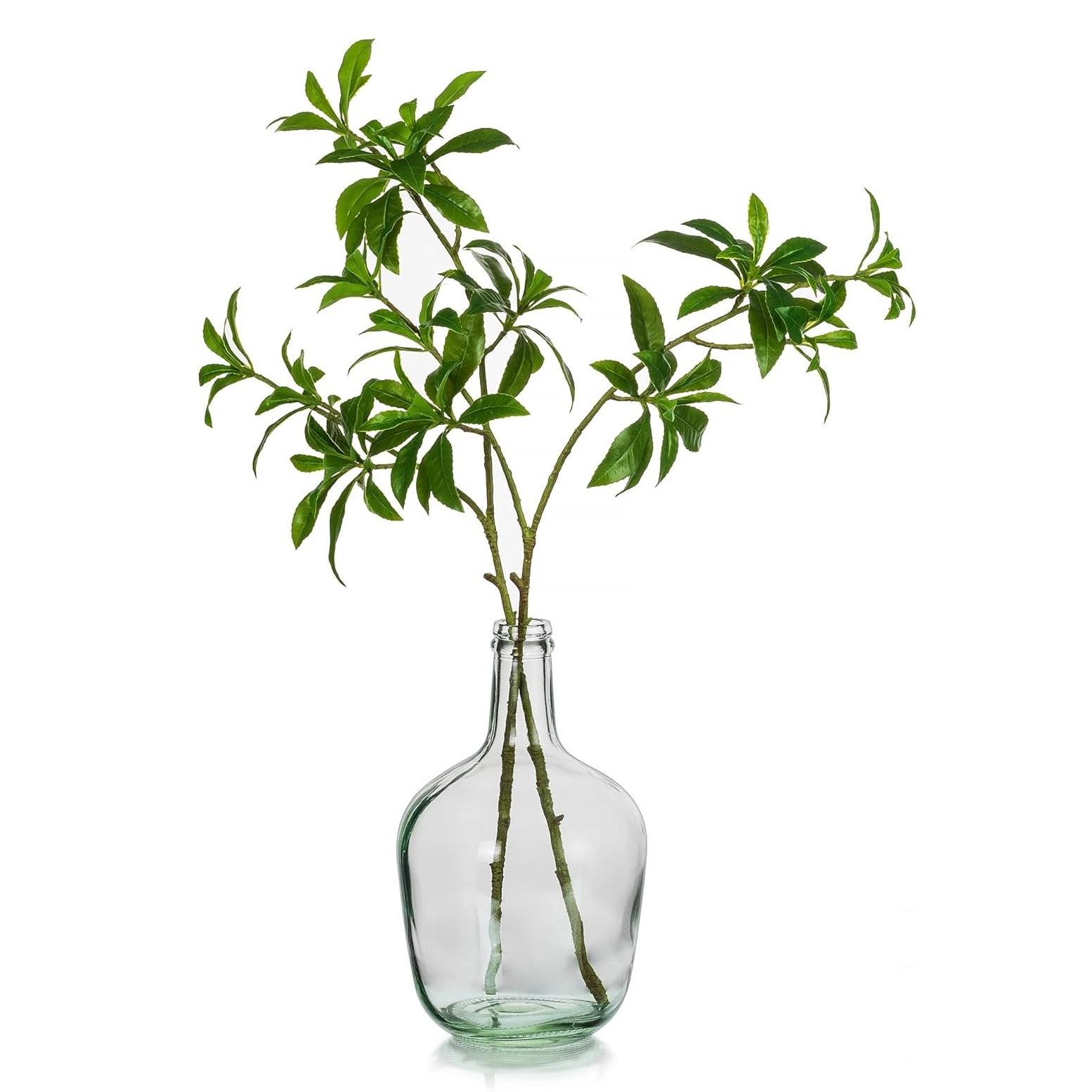 ตามที่แสดง