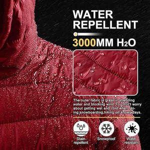 Chaqueta acolchada con capucha para hombre abrigo de invierno ligero aislado para esquí, nieve, senderismo Logotipo de diseño de color OEM personalizado - Product Image 5