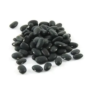 越南制造商新产品有机黑豆-芸豆出口黑芸豆价格便宜