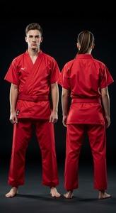 Uniformes de karaté de haute qualité, nouveau design du fabricant pakistanais, derniers vêtements d'arts martiaux - Product Image 6