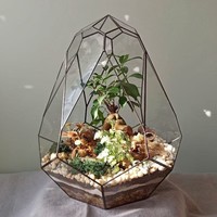 Terrarium en verre géométrique de conception contemporaine avec cadre en fer fini noir pour décoration de Table, plante succulente.