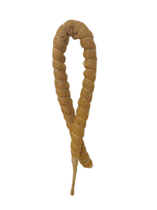 Tutor de Musgo Ecológico Ajustable con Palos de Coco Desmontables para Soporte de Plantas, de Vietnam - Product Image 5