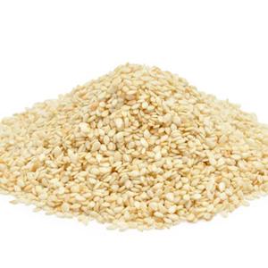 Produttore di semi di sesamo per la distribuzione all'ingrosso e la commercializzazione di semi di sesamo a scafo naturale buon gusto sesamo bianco