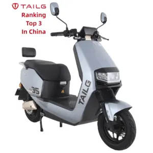 Tailg China Fabriek Topkwaliteit Off Road Sport E Scooters Bromfiets 72V 3000W Volwassen Elektrische Motorfiets Met 2 Sester