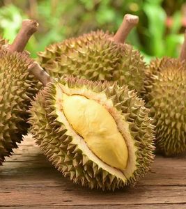 Nouveau Durian frais de culture: le meilleur du Vietnam aux prix de gros - Product Image 4