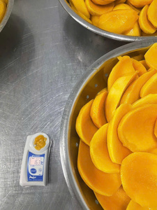 Sabrosas piezas de mango secadas al sol ideales para postre o consumo directo - Product Image 5