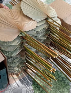 Tenture murale en feuille de palmier éco-consciente pour la décoration intérieure biologique minimaliste et les intérieurs de boutique - Product Image 3