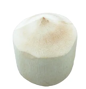Wholesale tender diamond cut coconuts Sweet Processed Diamond Green Siamese Coconuts with competitive price Akina