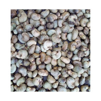 Biologische Premium Kwaliteit 100% Pure Natuurlijke Rauwe Cashewnoten - Bulk Vacuüm Verzegelde Zakken, Amerikaanse Oorsprong, Gezonde Snack
