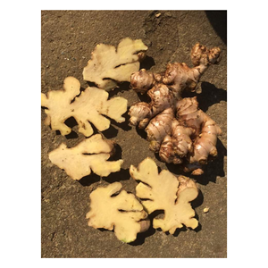 <b>Fresh</b> <b>ginger</b> from Vietnam packed and cleaned in bulk <b>fresh</b> <b>ginger</b> ideal for global export secure <b>fresh</b> <b>ginger</b> now for trade - Product Image 2