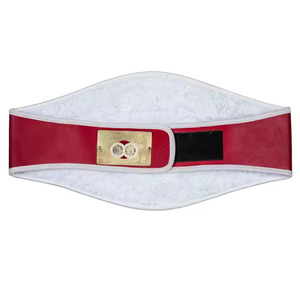 WWE Tag Team Wrestling Championship Title Belt Fabricación personalizada Fantasy Popular New Wrestling Belts Championship Belt - Product Image 2