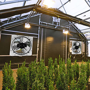 Serre tunnel agricole entièrement automatisée à obscurcissement total à portée unique - Product Image 2