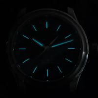 Reloj de Acero Inoxidable Resistente al Agua de 100 m con Logotipo Personalizado OEM ODM, Miyota 9015 Automático de 39 mm, Fábrica de Relojes de Marca Blanca, CE RoHS