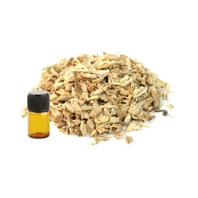 Best Quality Of Natural Angelica Essential Oil Available At Purest Form By Isar International LLP