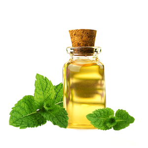 New Widely Selling Cost Effective De Mentholised Mint <b>Oil</b> - Product Image 2