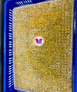 Puré de Maracuyá Congelado VDELTA Vietnam |   Procesamiento Limpio |   Venta al por Mayor - Product Image 1