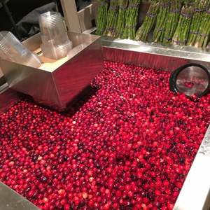 Arándanos Frescos a Precio de Fábrica, 950 kg, Venta al por Mayor, Suministro Premium, 80-95% de Maduración, Grado 10-20 mm - Product Image 6