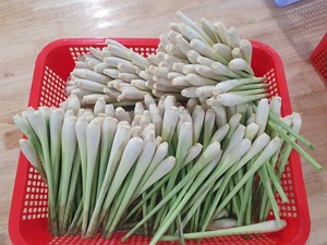 Tallo de hierba de limón congelado IQF de alta calidad, hierba congelada a granel para servicios de alimentos, restaurantes y procesamiento, exportación de Vietnam - Product Image 1
