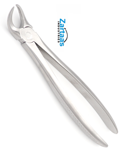 Pince d'extraction en acier inoxydable de haute qualité molaires inférieures fig 87 outil de chirurgie buccale dentaire chirurgicale - Product Image 3