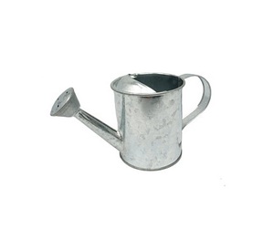 Fabricante y Exportador de Regaderas Metálicas Sencillas y Económicas, Fabricante de Regaderas Galvanizadas con Diseño Personalizado - Product Image 1