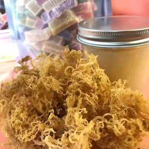 BEST PRODUCT DRIED SEAMOSS NATURAL FLAVOR PURE - Product Image 2