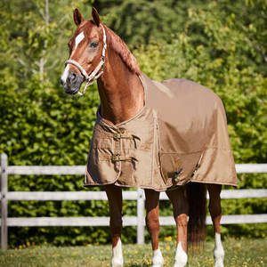 Meilleure vente meilleure conception tapis de cheval personnalisé hiver tapis respirants polaire cheval Protection feuille tapis respirant imperméable - Product Image 4