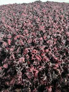 Fleurs d'hibiscus séchées, roselle séchée à l'air pour la préparation de thé et les boissons, Vietnam par 99 Gold Data - Mme Violet - Product Image 5