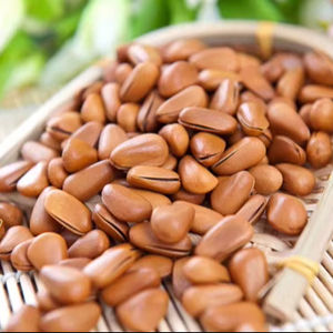 Nueva temporada piñones crudos Pakistán para la venta - Product Image 2