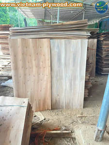 Vietnam Factory Export High Quality Eucalyptus Core <b>Veneer</b> Best Price for India Market-HCPLY LUCYPLYWOOD - Product Image 2