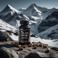 Compléments alimentaires à base de Shilajit de l'Himalaya 100 % pur certifiés HACCP, paquet de 20 capsules séchées au soleil de 18 000 FTS, 60 capsules pour le soutien immunitaire