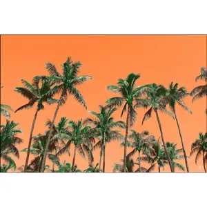 Impresión en lienzo de palmeras Fida en un cielo naranja - Product Image 6